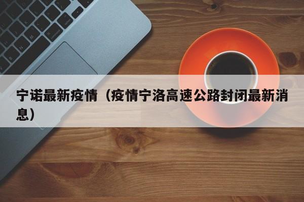 宁诺最新疫情（疫情宁洛高速公路封闭最新消息）