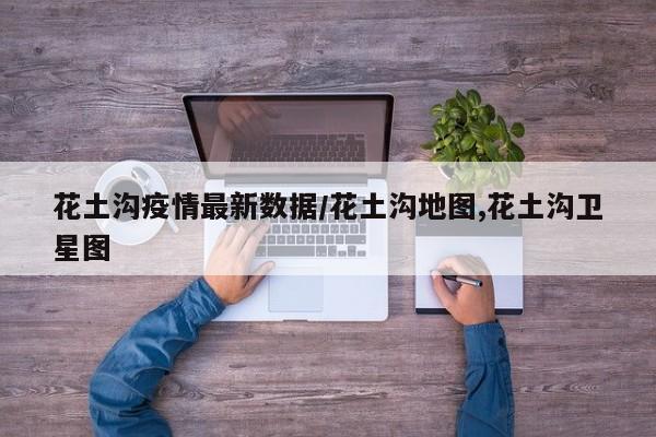 花土沟疫情最新数据/花土沟地图,花土沟卫星图