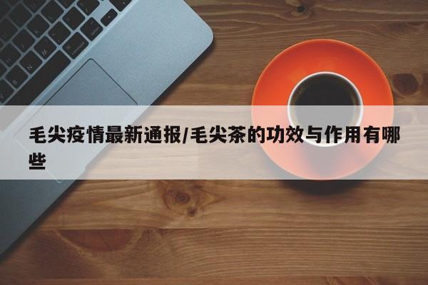 毛尖疫情最新通报/毛尖茶的功效与作用有哪些