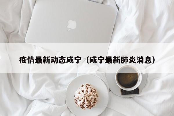 疫情最新动态咸宁（咸宁最新肺炎消息）
