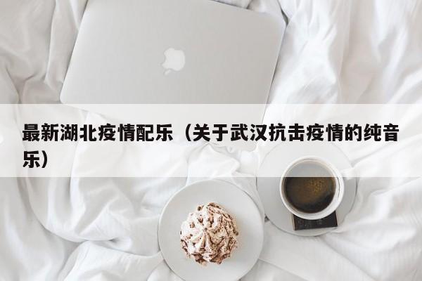 最新湖北疫情配乐（关于武汉抗击疫情的纯音乐）